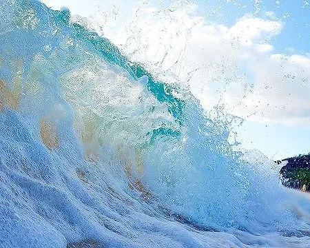 Sea View & Appartement